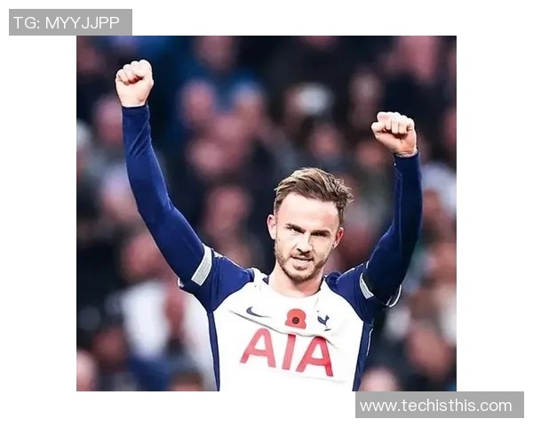 热刺迎战温布尔顿力争主场胜利展现球队实力与决心