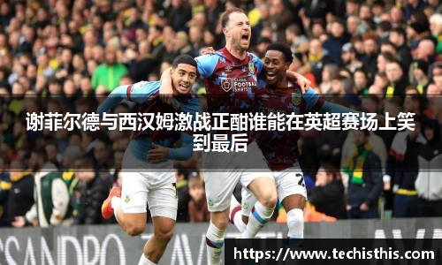 谢菲尔德与西汉姆激战正酣谁能在英超赛场上笑到最后