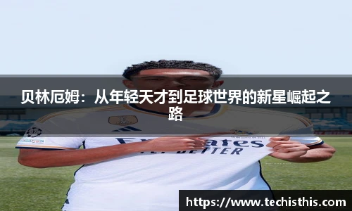 乐动LDSports体育